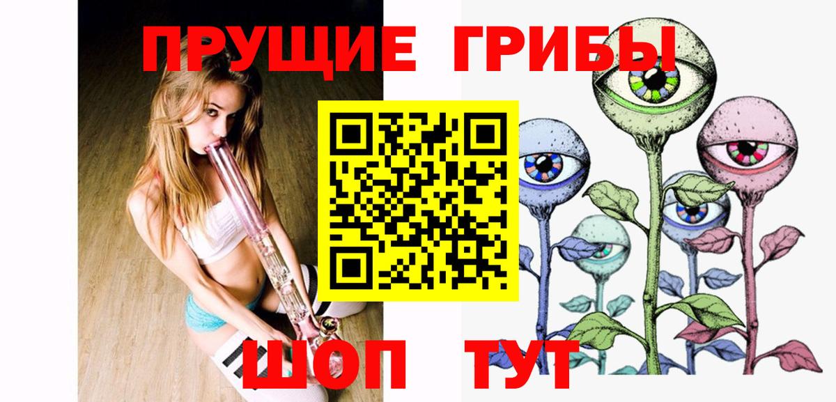 Псилоцибиновые грибы GOLDEN TEACHER  Вход с VPN  Дальнегорск 